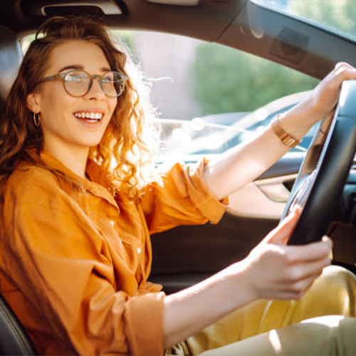 Professional Chauffeur